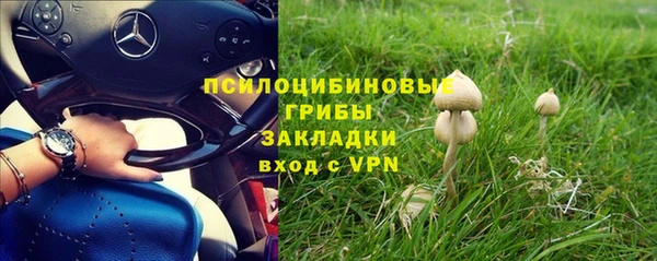 кристаллы Алзамай
