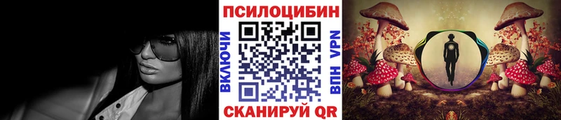 Галлюциногенные грибы мицелий  где купить наркоту  Протвино 